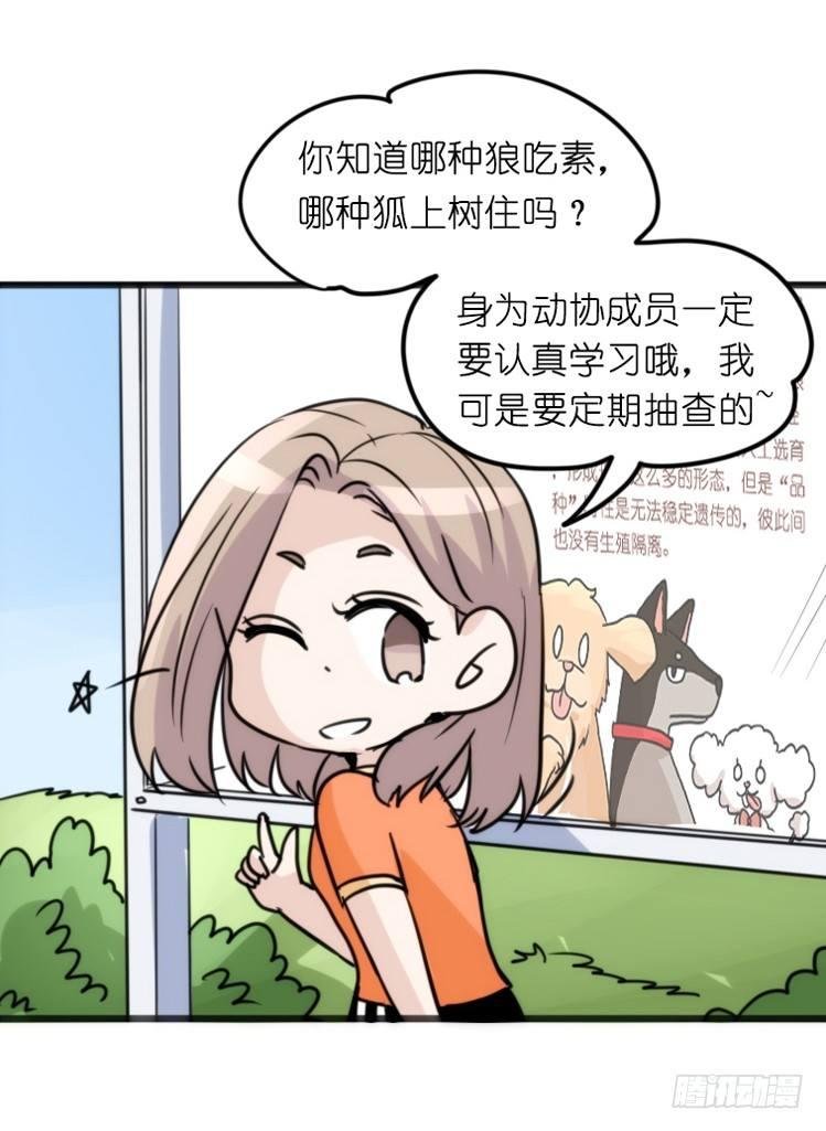 家有鹅霸：转场茶话会
