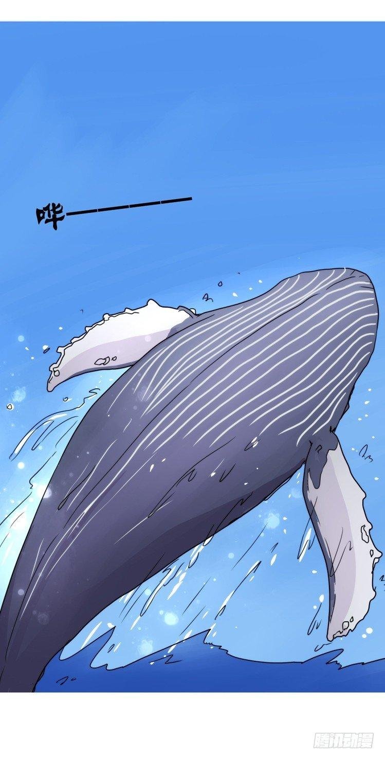 家有鹅霸：转场茶话会