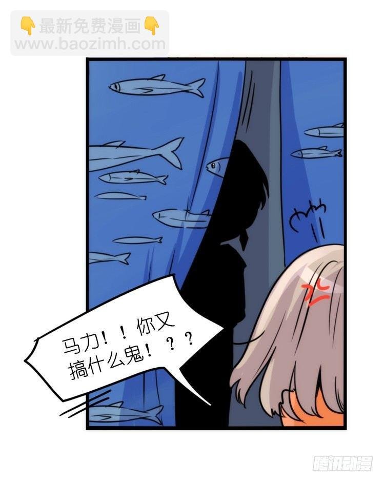 家有鹅霸：转场茶话会