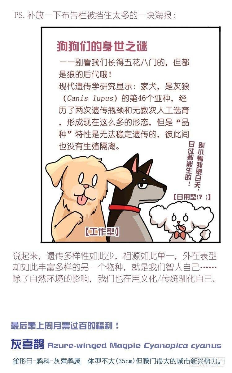 家有鹅霸：转场茶话会