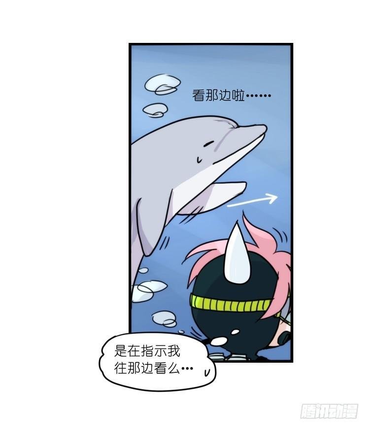 海洋精灵-奇异邂逅