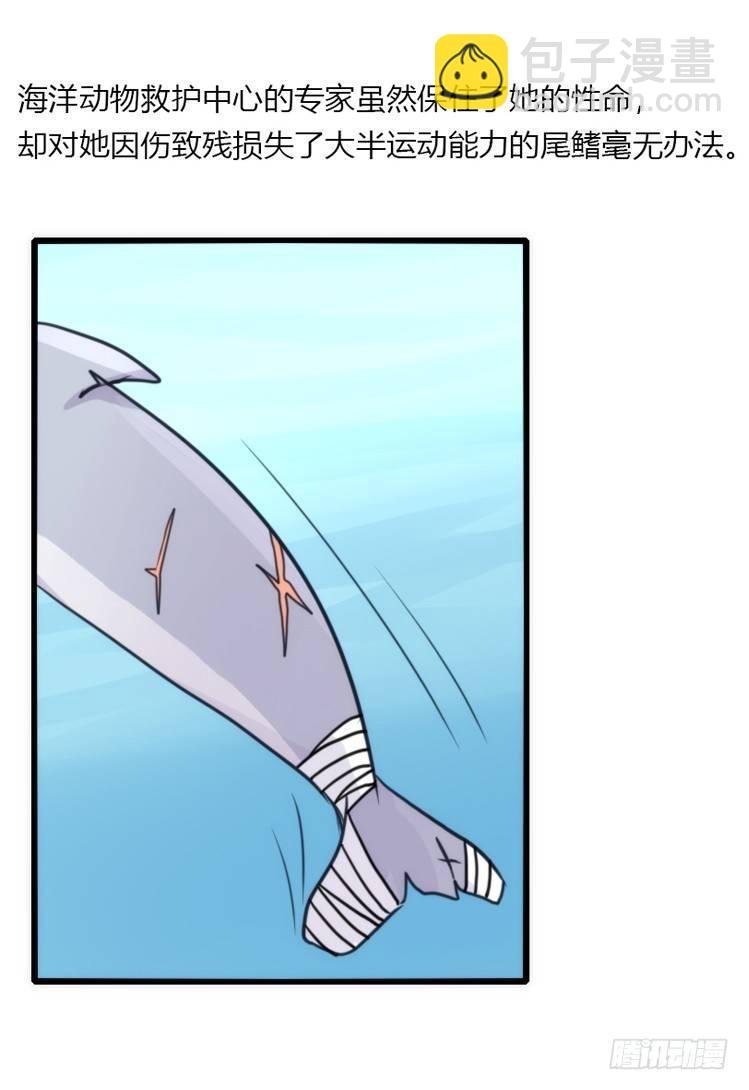 海洋精灵：苏的诞生