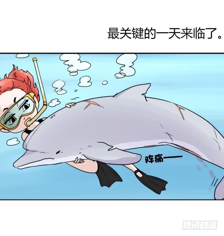 海洋精灵：苏的诞生