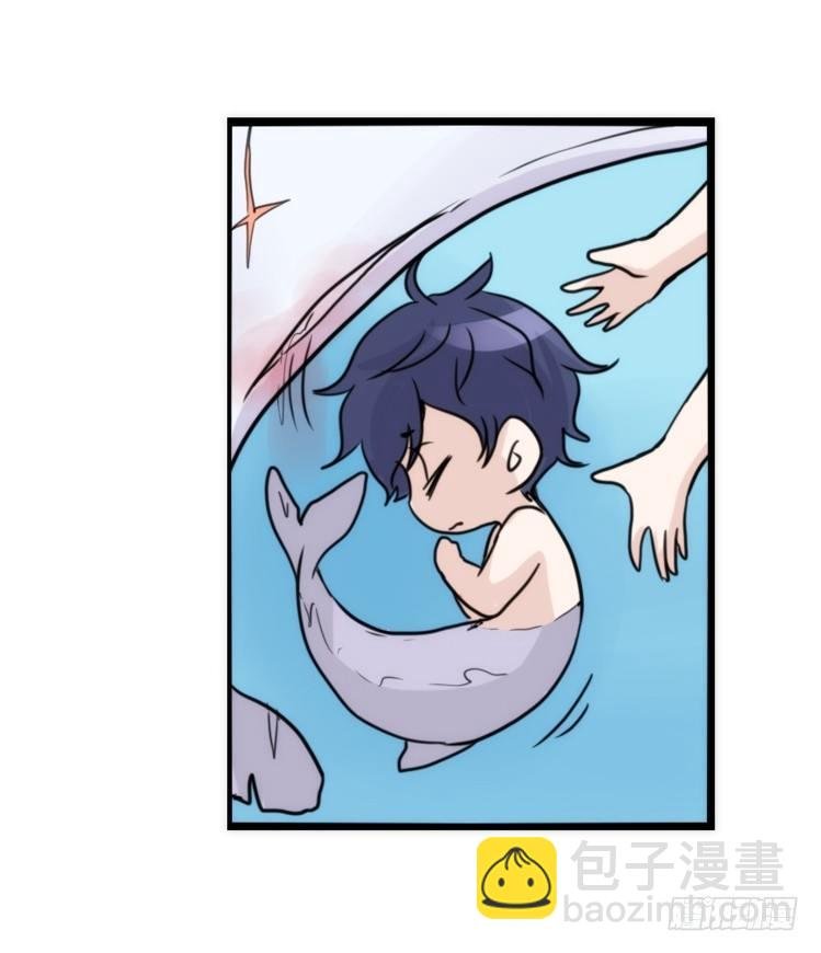 海洋精灵：苏的诞生