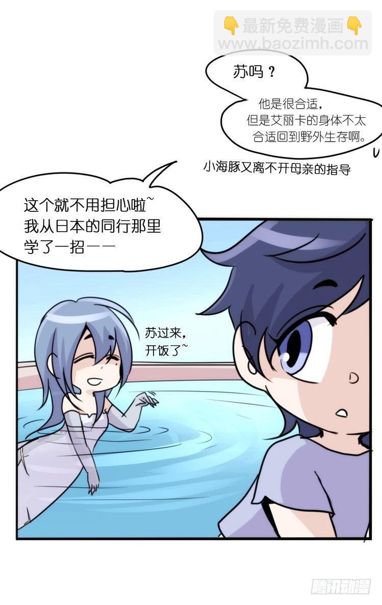 海洋精灵：第一堂修行课