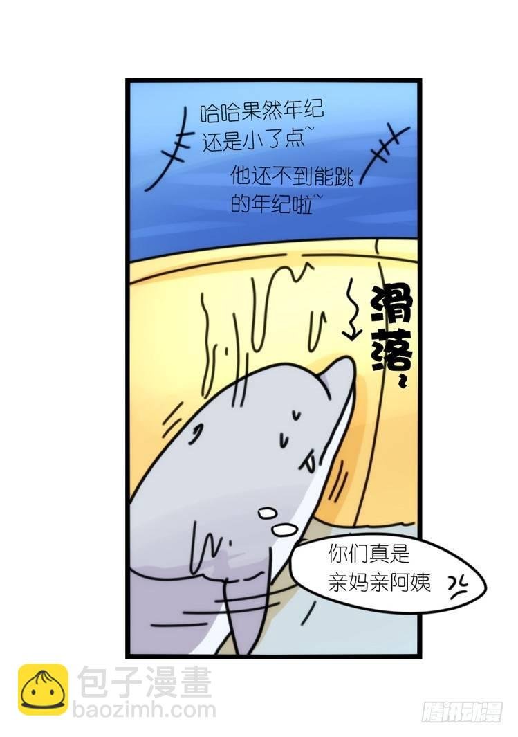 海洋精灵：第一堂修行课