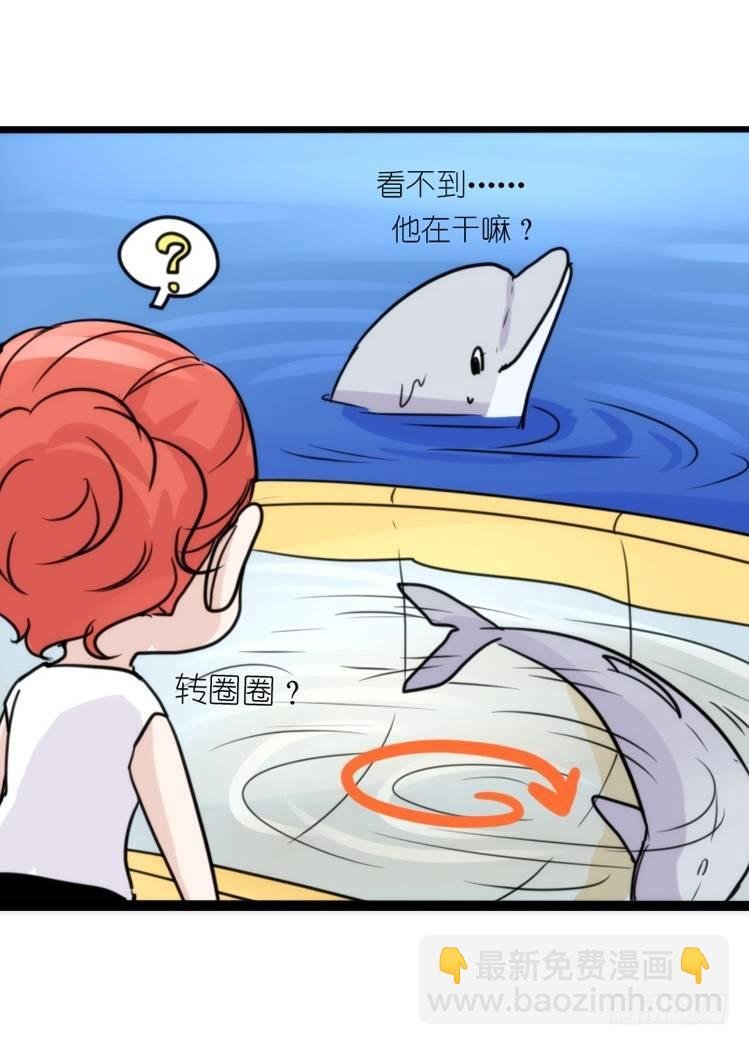 海洋精灵：第一堂修行课