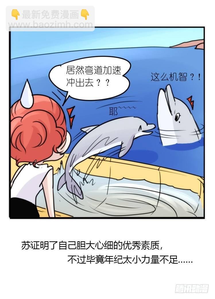 海洋精灵：第一堂修行课