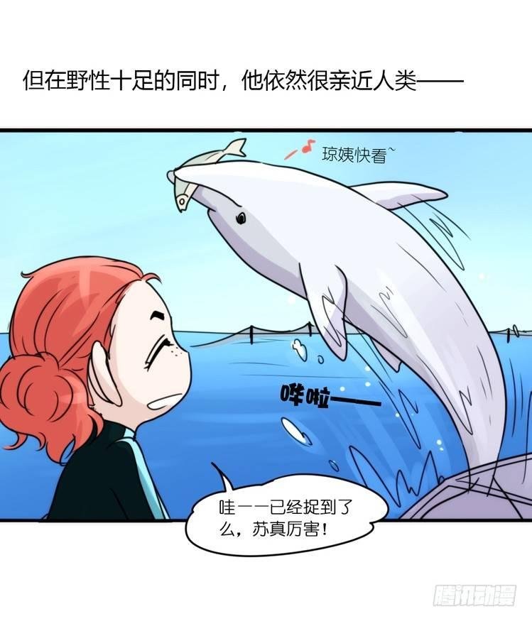 海洋精灵：目标是王牌____?!