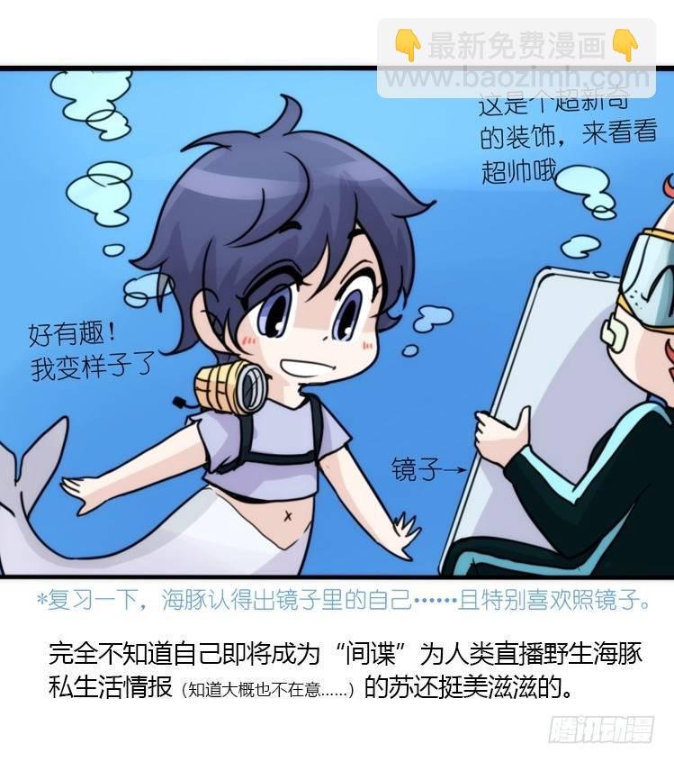 海洋精灵：目标是王牌____?!