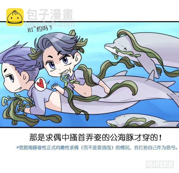 海洋精灵：目标是王牌____?!