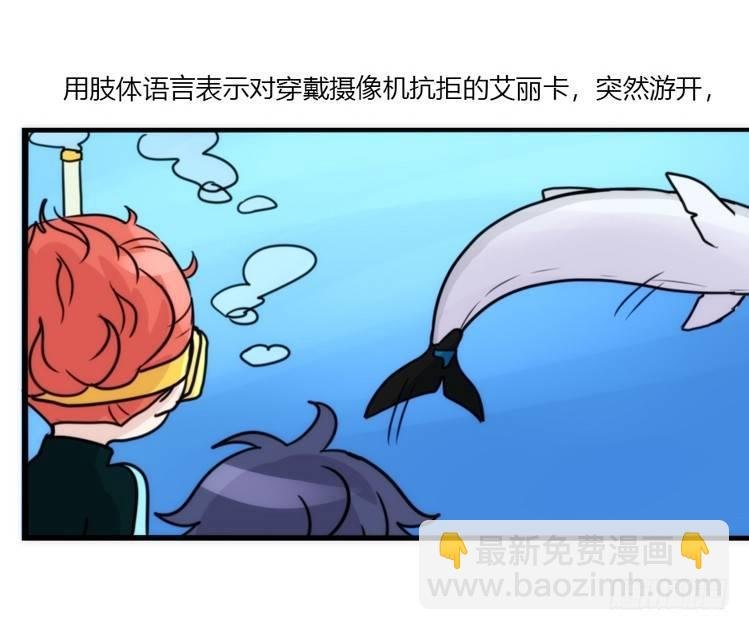 海洋精灵：目标是王牌____?!