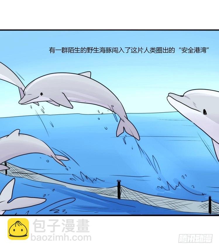 海洋精灵：目标是王牌____?!