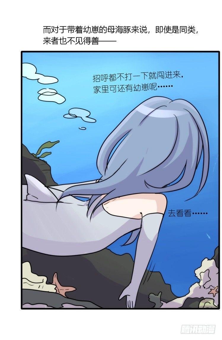 海洋精灵：目标是王牌____?!