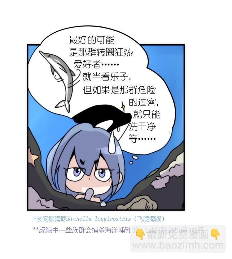 海洋精灵：目标是王牌____?!