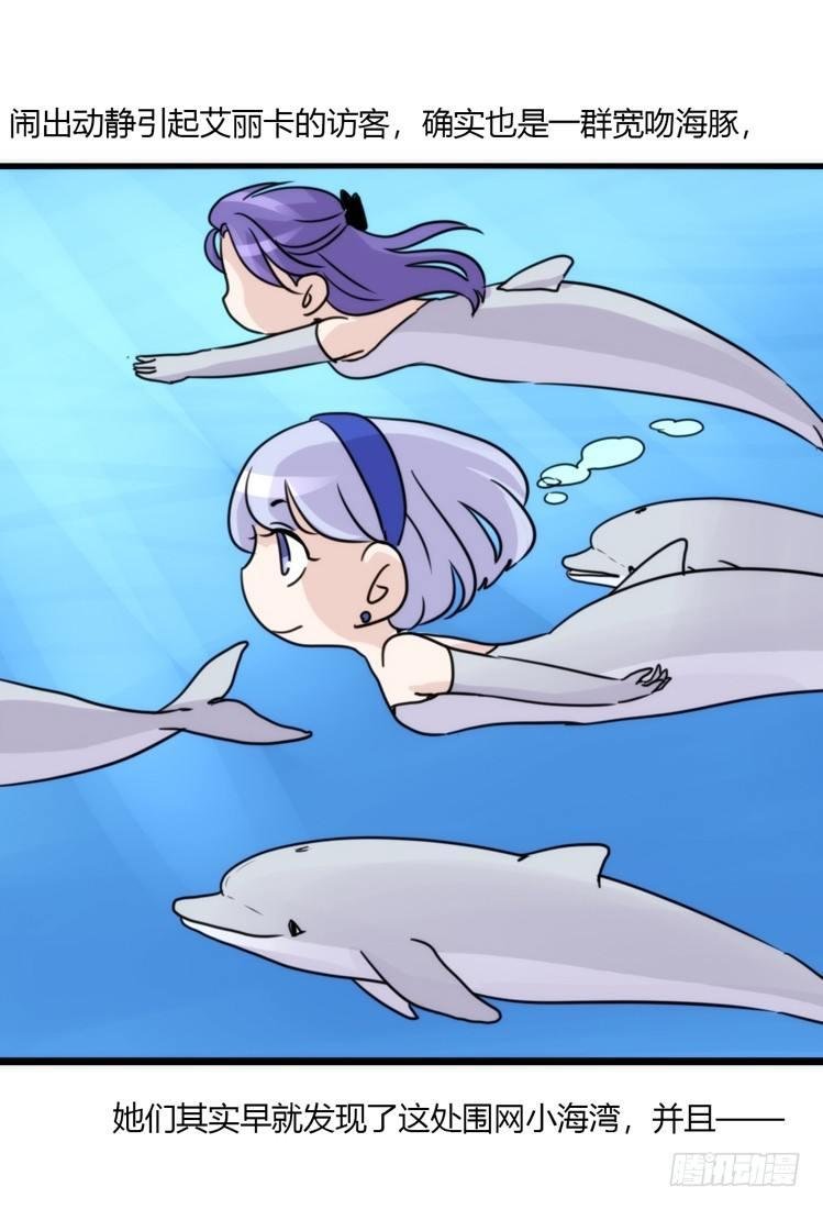 海中精灵：海豚直播间