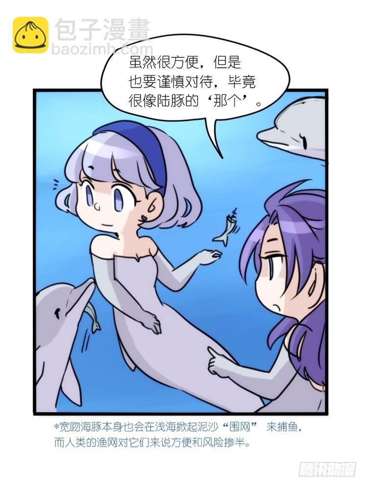 海中精灵：海豚直播间