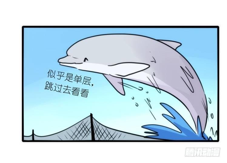 海中精灵：海豚直播间