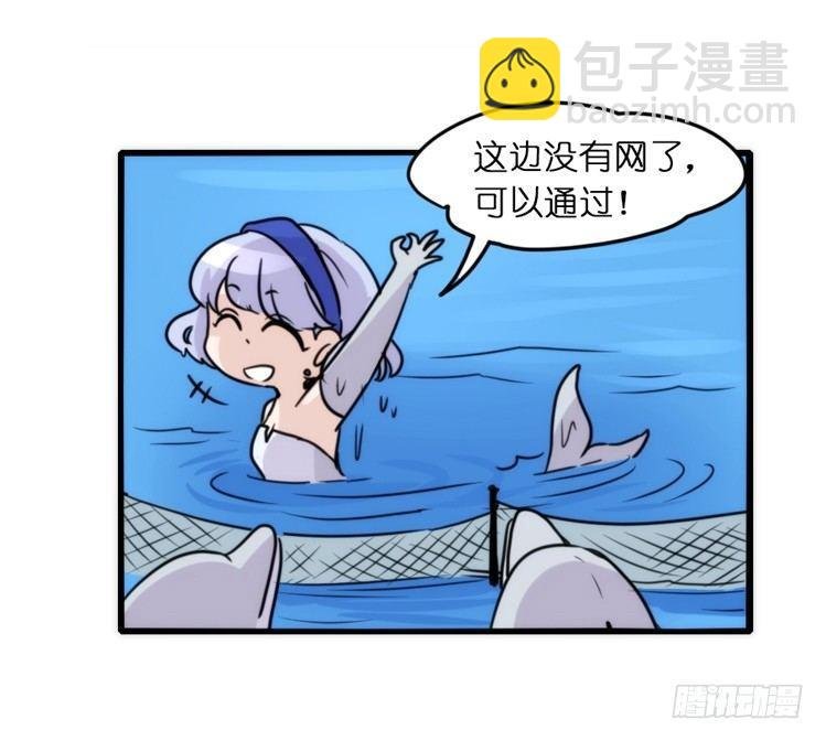海中精灵：海豚直播间
