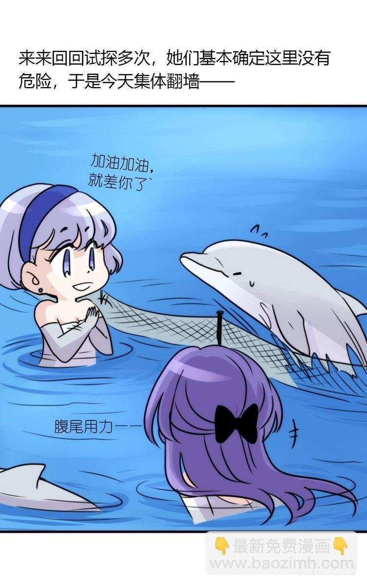 海中精灵：海豚直播间
