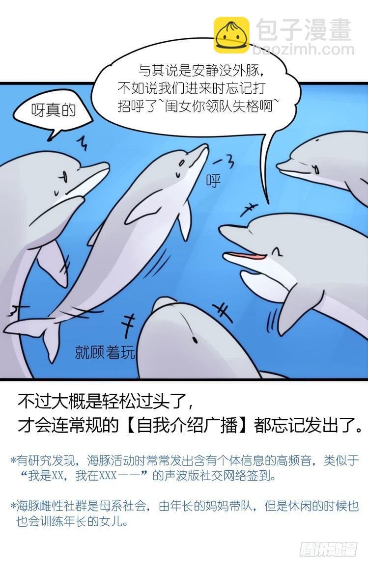 海中精灵：海豚直播间