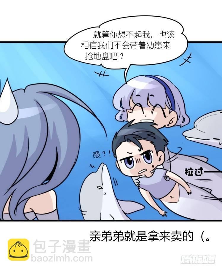 海中精灵：海豚直播间