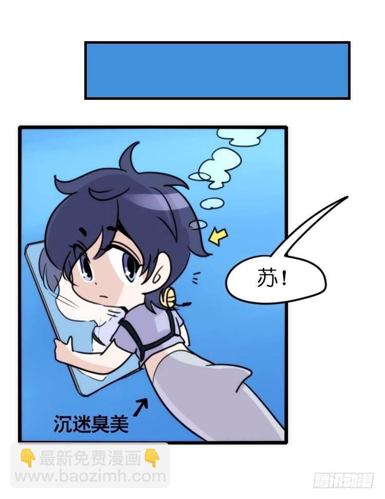 海中精灵：海豚直播间