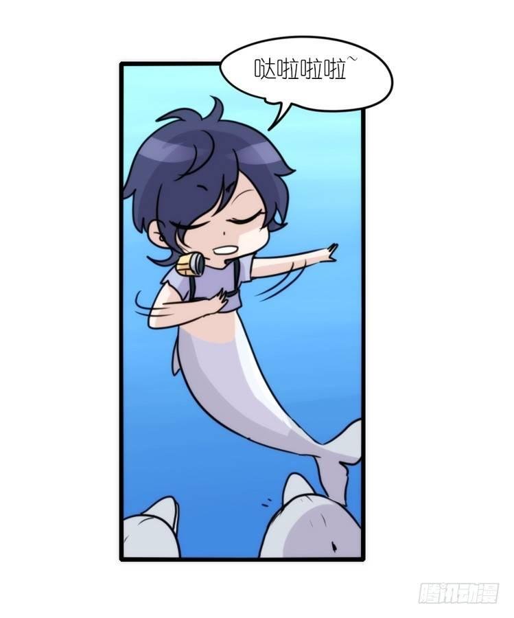 海中精灵：海豚直播间