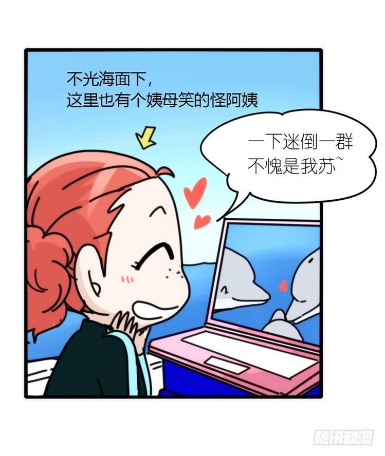 海中精灵：海豚直播间