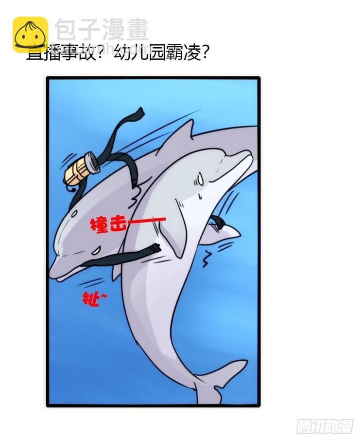 海中精灵：海豚直播间