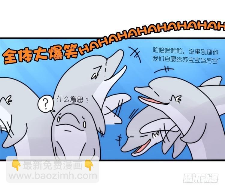 海中精灵：海豚直播间