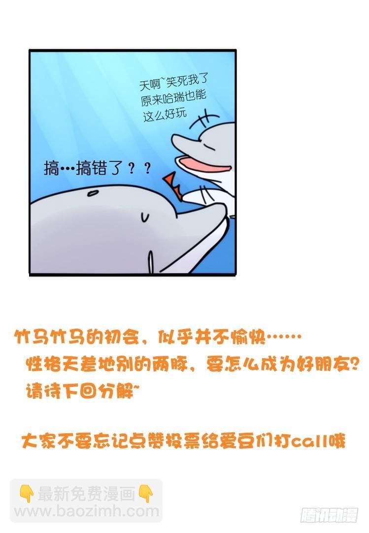 海中精灵：海豚直播间