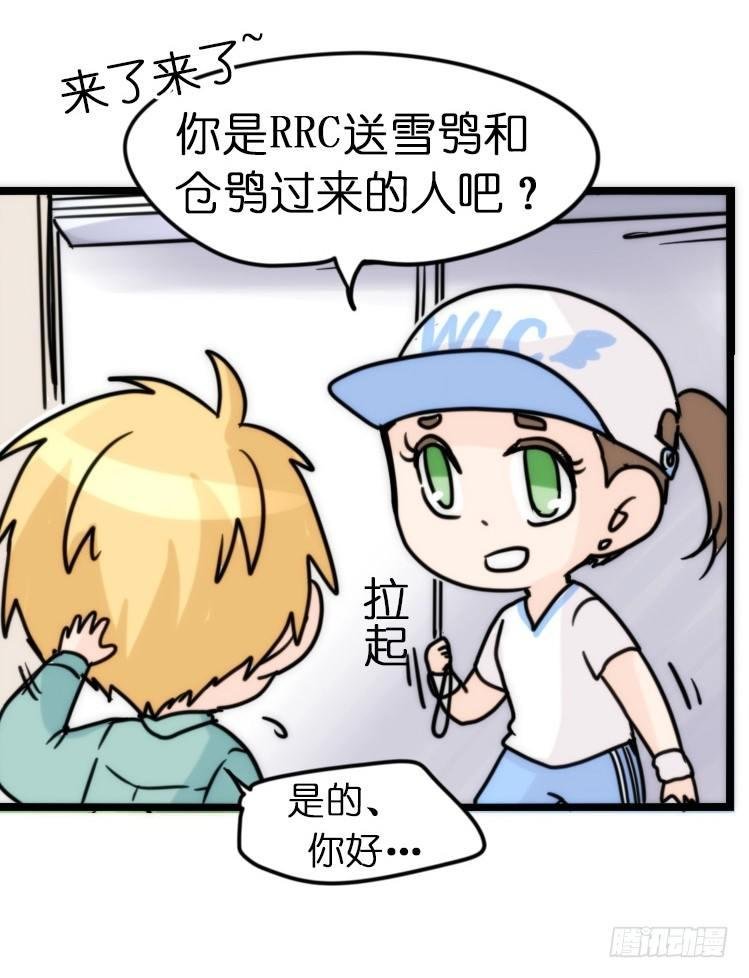飞吧小少爷：上学去（上）