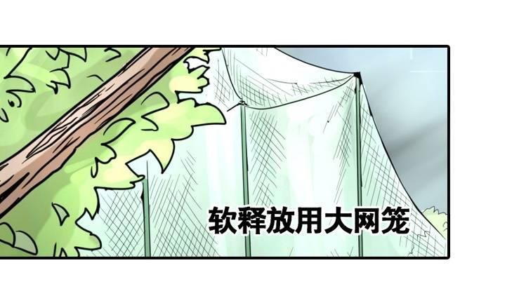 飞吧小少爷：上学去（上）