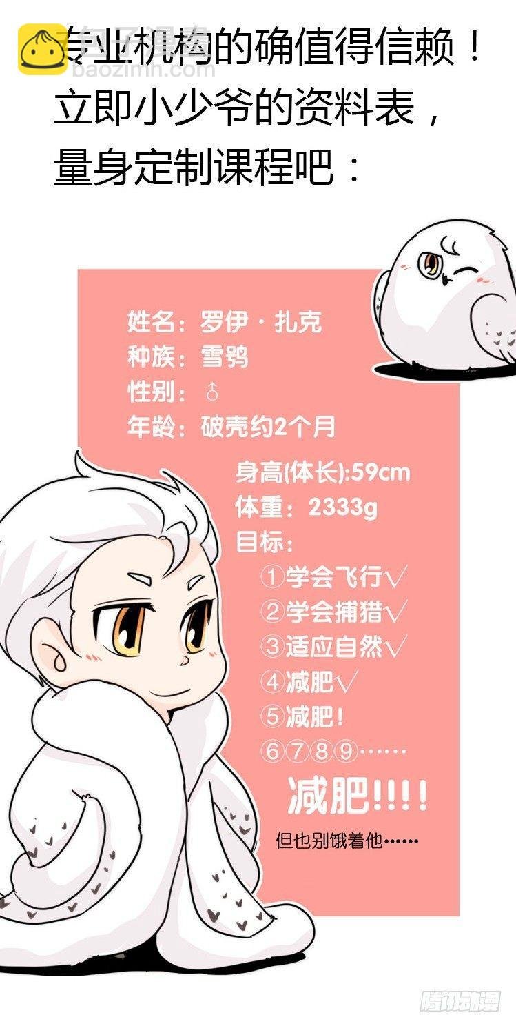 飞吧小少爷：上学去（上）