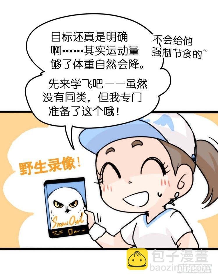 飞吧小少爷：上学去（上）