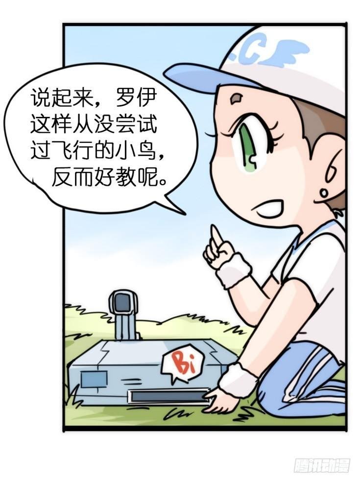 飞吧小少爷：上学去（上）