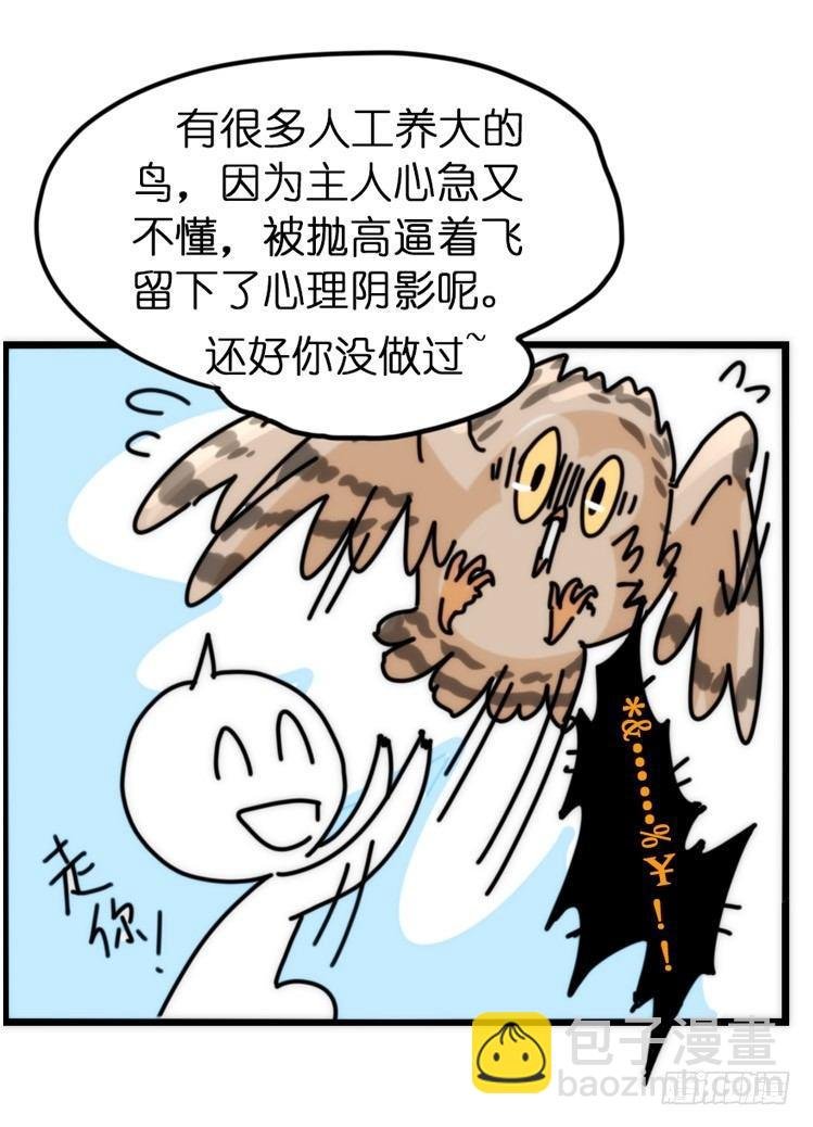 飞吧小少爷：上学去（上）