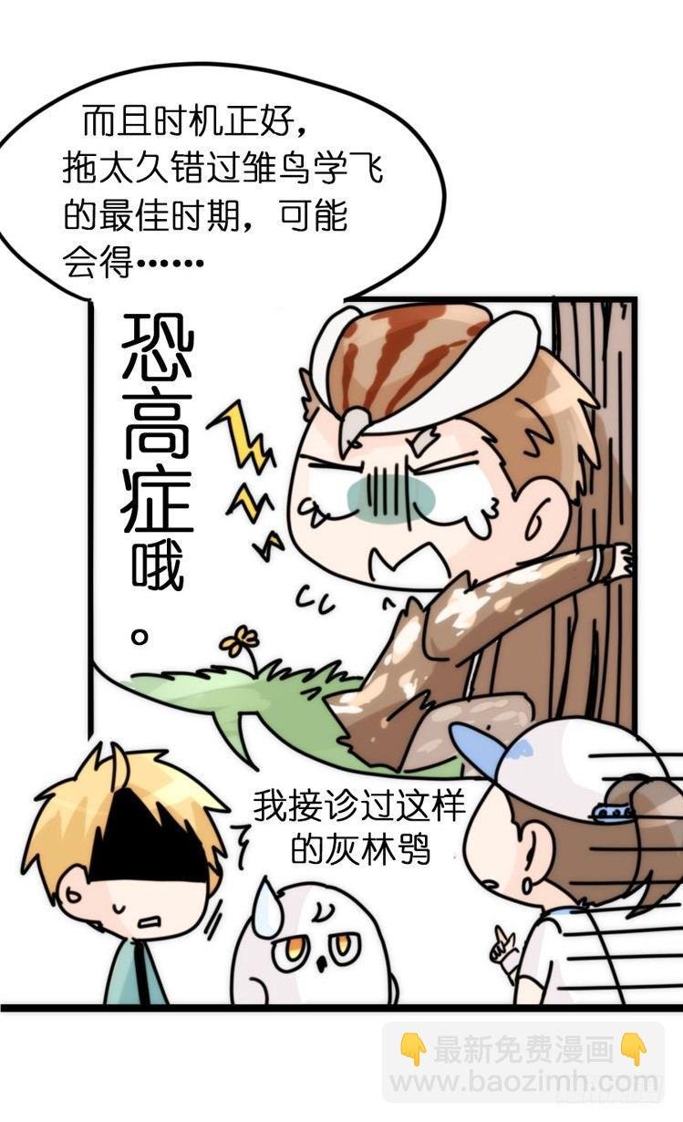 飞吧小少爷：上学去（上）
