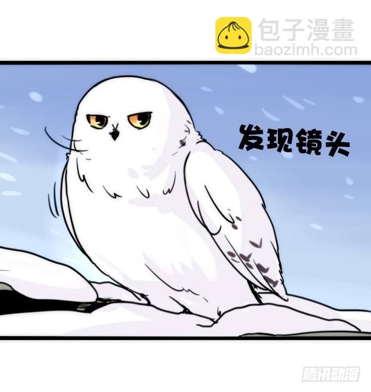 飞吧小少爷：上学去（上）