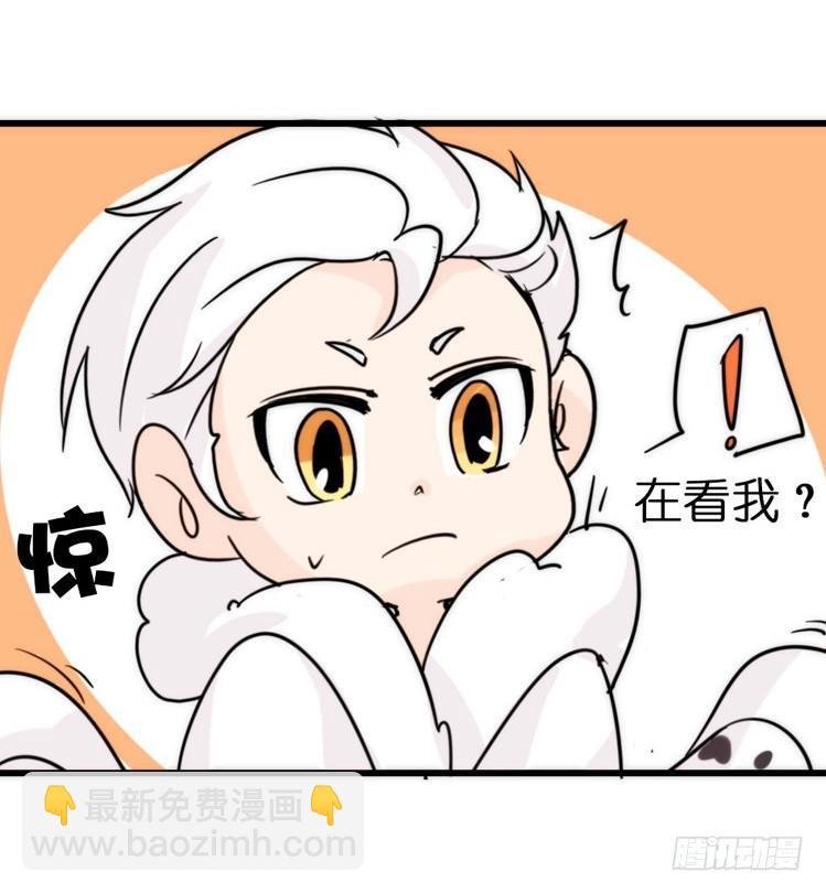 飞吧小少爷：上学去（上）