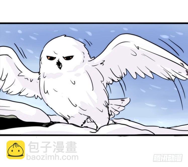 飞吧小少爷：上学去（上）