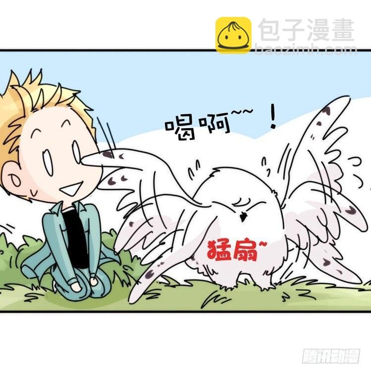 飞吧小少爷：上学去（上）