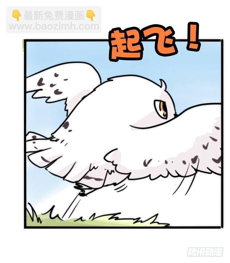 飞吧小少爷：上学去（上）