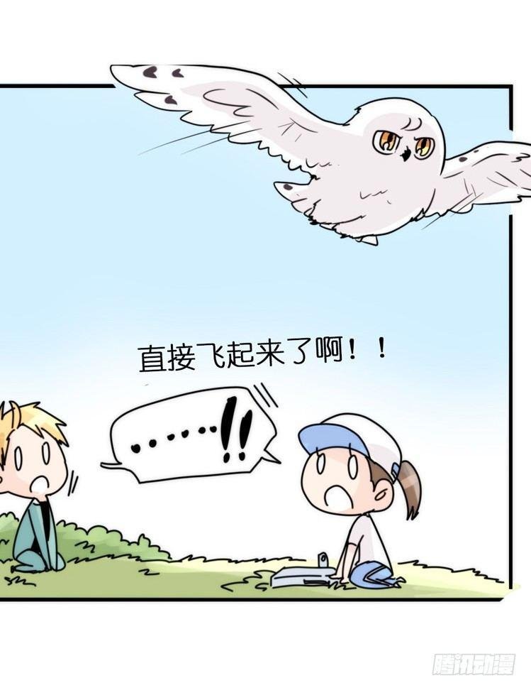 飞吧小少爷：上学去（上）