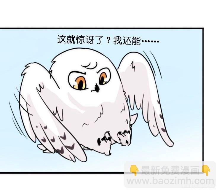 飞吧小少爷：上学去（上）