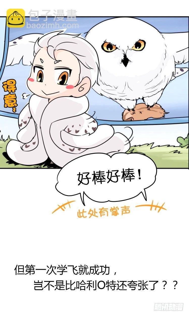 飞吧小少爷：上学去（上）