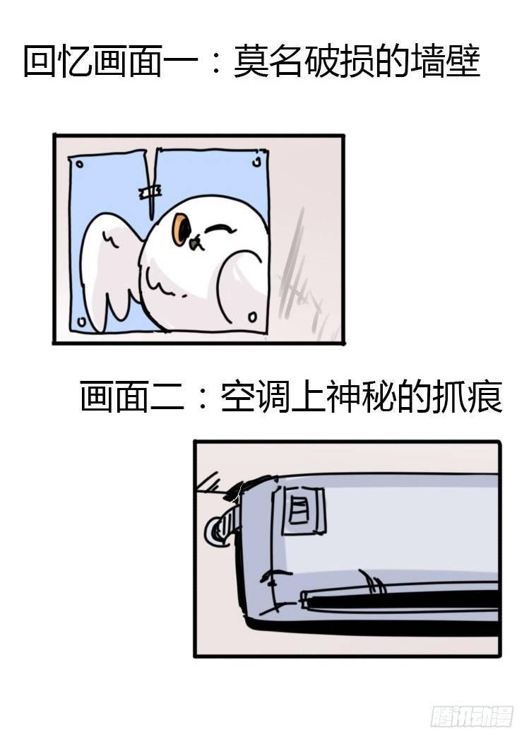 飞吧小少爷：上学去（上）
