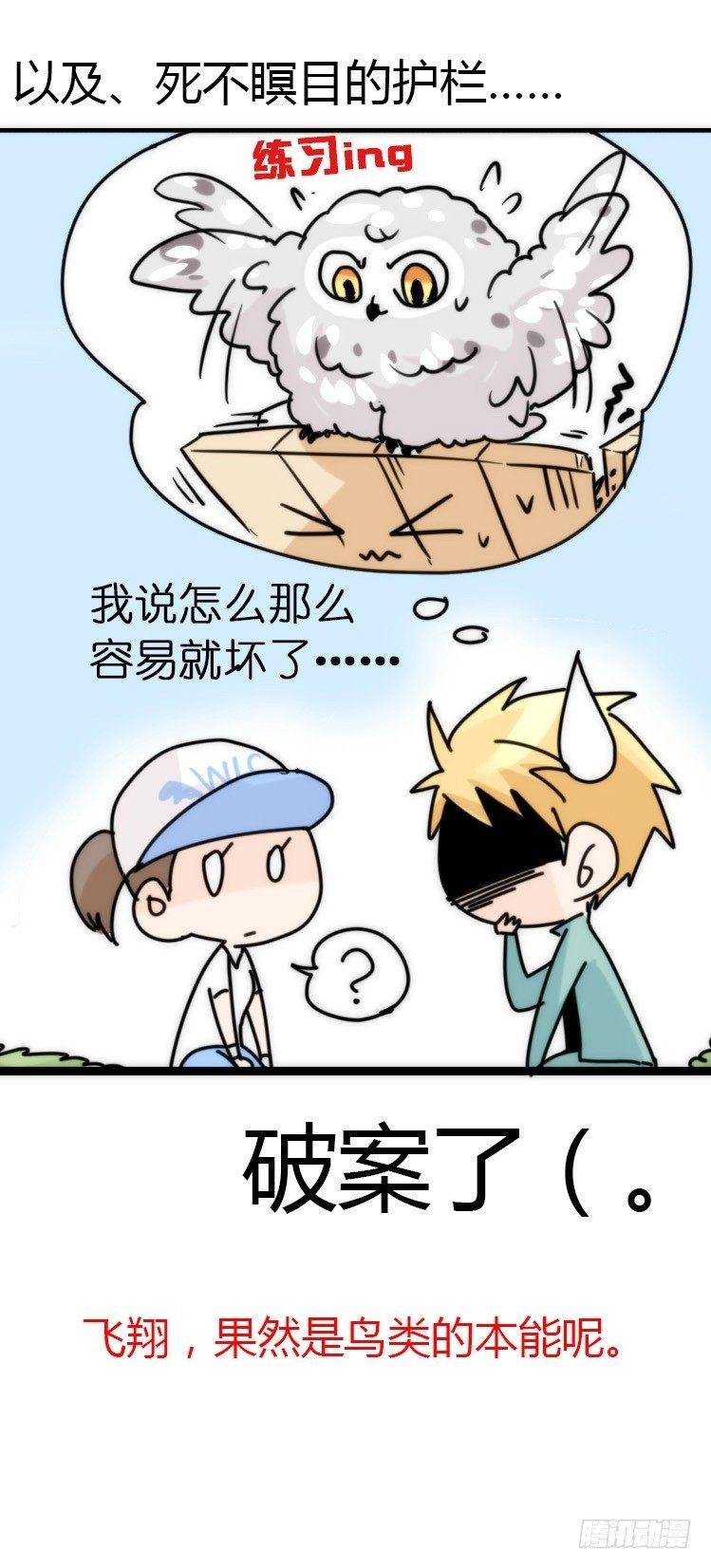 飞吧小少爷：上学去（上）