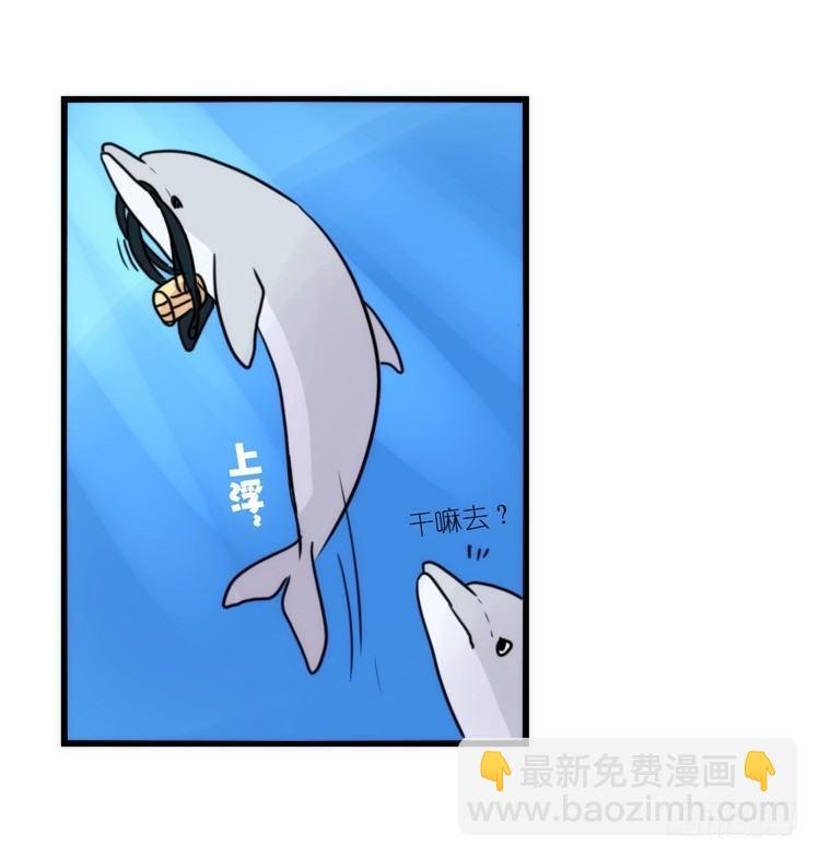 海中精灵：欢喜冤家？